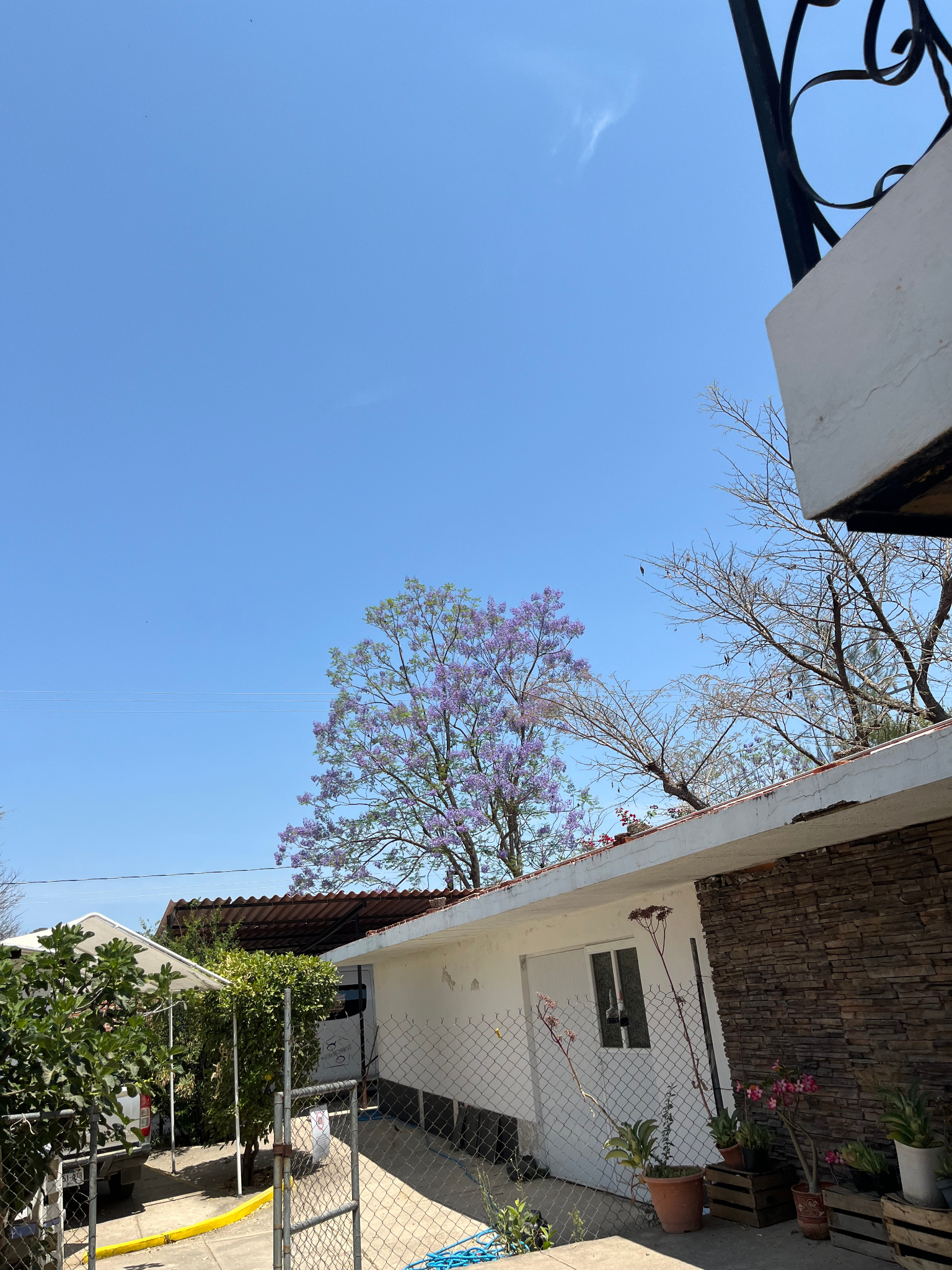 Diseño sin título (8)